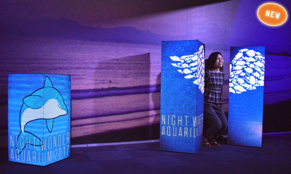 勤労感謝の日に開催される関東地方のイベント情報まとめ！ナイトワンダーアクアリウム2017 ～満天の星降る水族館～ Part2_03