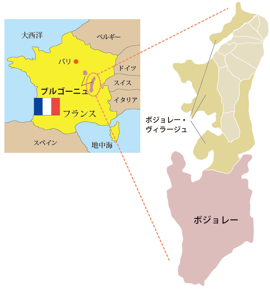 ワインボジョレーヌーボーとは地図