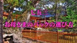 七五三のバック、母親が身につけるのはどれが良い?その選び方は?