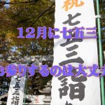 七五三の時期を12月へずらしても大丈夫?注意点はどんなこと?