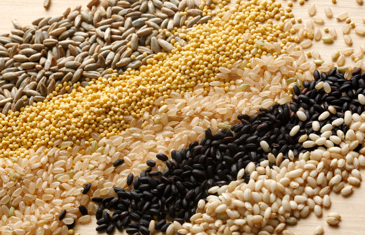 勤労感謝の日とは？その意味と由来を子供へ分かりやすく説明のするポイント！