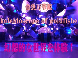 金魚万華鏡の開催場所は、開催期間は、料金は？