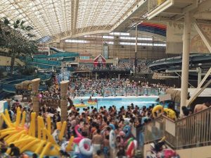 スパリゾートハワイアンズの混雑をくぐり抜けて楽しむ方法！駐車場の混雑回避方法！