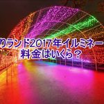 よみうりランド2017年イルミネーション値段はいくら?