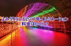 よみうりランド2017年イルミネーション値段はいくら?