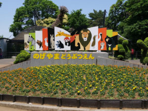 野毛山動物園をデートに使う方法、ランチ、料金など情報を徹底解説！