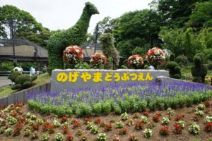 野毛山動物園への電車・バスでの便利なアクセス方法、近隣の駐車場情報など楽に早く行くガイド！