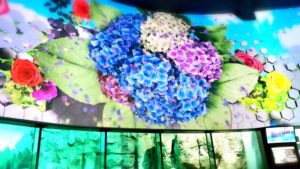 横浜・八景島シーパラダイス安くておすすめの駐車場6選、時間帯、行き方などをご紹介