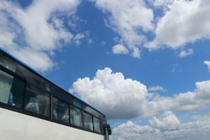 野毛山動物園への電車・バスでの便利なアクセス方法、近隣の駐車場情報など楽に早く行くガイド！