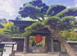 長谷寺(鎌倉)に行ったら絶対に寄りたい絶品ランチのお店２０選！