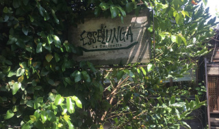 長谷寺,ランチ,絶品ランチ,おすすめのランチのお店,エッセルンガ