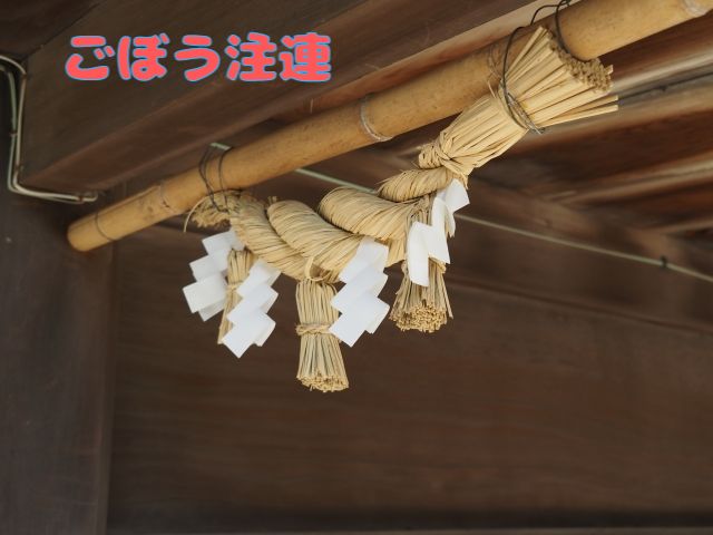 しめなわ,ごぼう注連