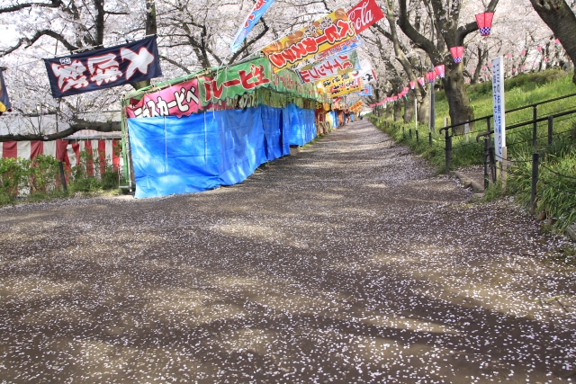 権現堂桜堤のイベント