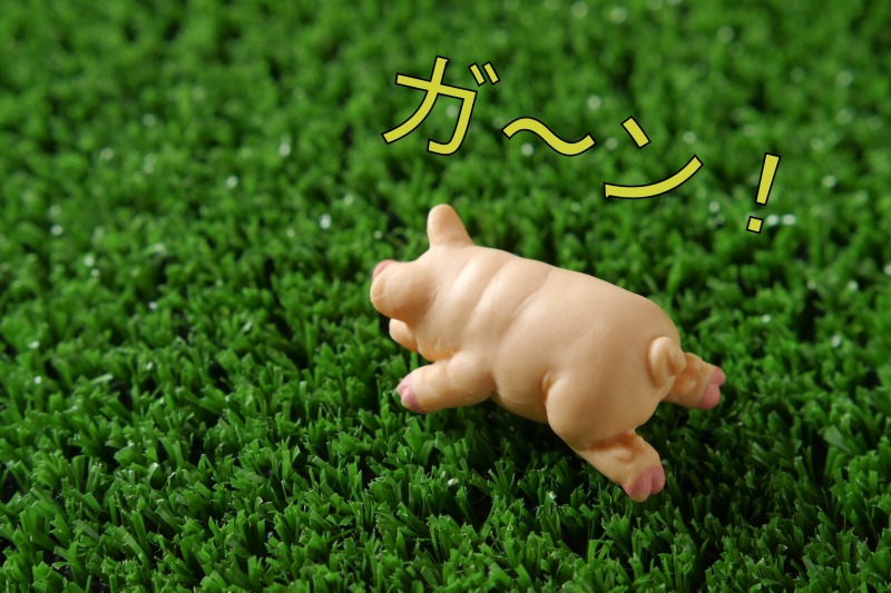 イエプラ,仙台市内,AWANAI