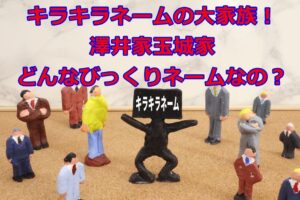キラキラネームの大家族!澤井家玉城家どんなびっくりネームなの?