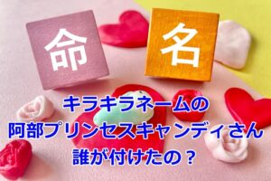 キラキラネームの阿部プリンセスキャンディさん誰が付けたの?